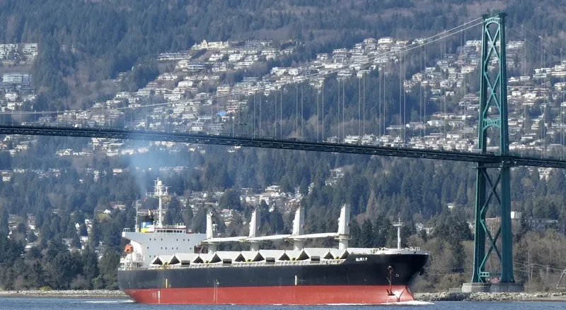 SHUN DING 29 Bulk Carrier IMO 9227467 photo 4