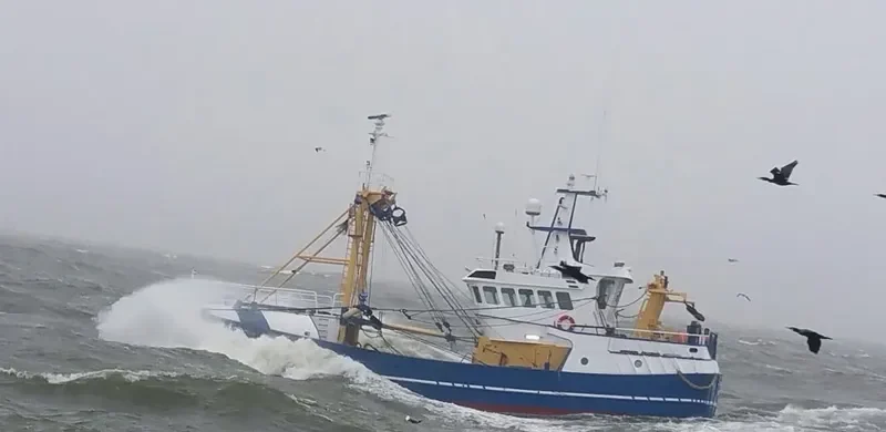 JACOB CORNELIS General Cargo IMO 9227572 photo 8