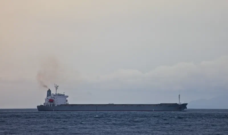 DORIC ARROW Bulk Carrier IMO 9227649 photo 2