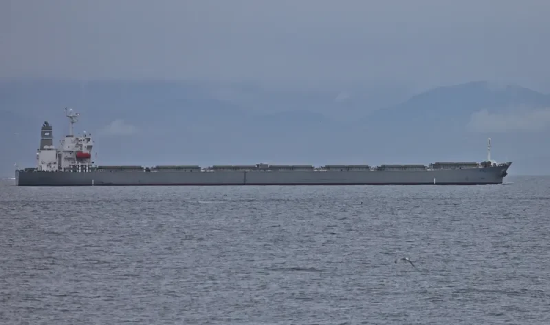 DORIC ARROW Bulk Carrier IMO 9227649 photo 4