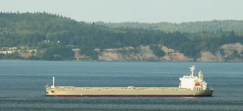 DORIC ARROW Bulk Carrier IMO 9227649 photo 7