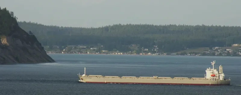 DORIC ARROW Bulk Carrier IMO 9227649 photo 8
