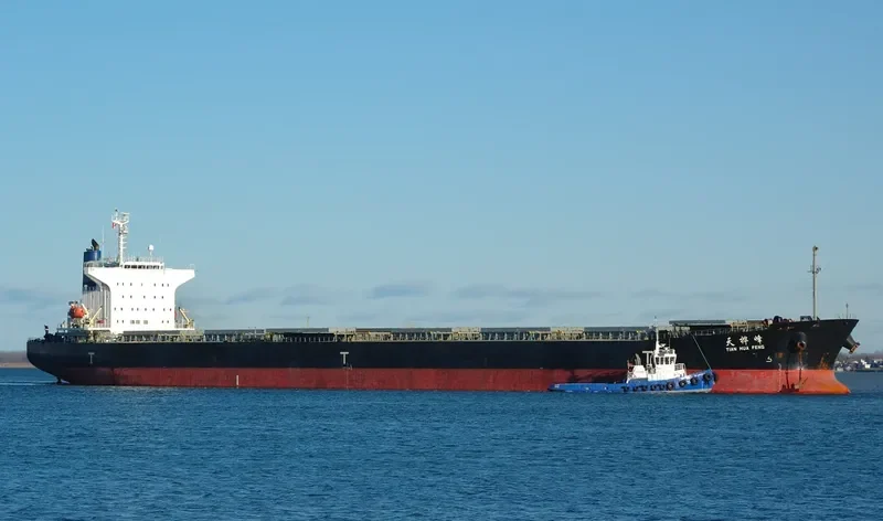 TIAN HUA FENG Bulk Carrier IMO 9227687 photo 10