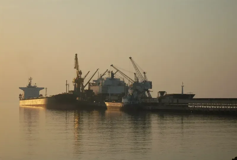 TIAN YANG FENG Bulk Carrier IMO 9227699 photo 2