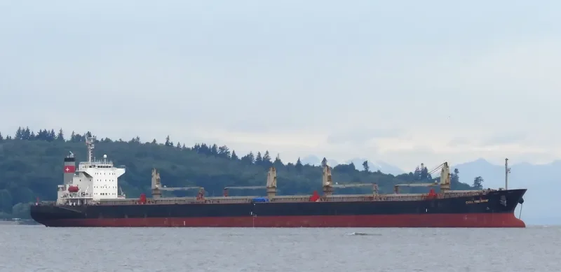 YU XIAO 2 Bulk Carrier IMO 9227704 photo 6