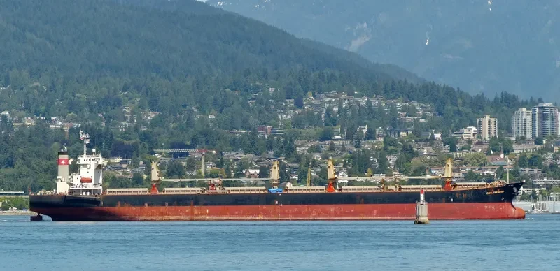 YU XIAO 2 Bulk Carrier IMO 9227704 photo 7