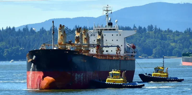 YU XIAO 2 Bulk Carrier IMO 9227704 photo 9