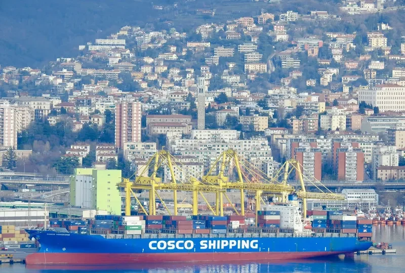 COSCO HONG KONG Container Ship IMO 9227778 photo 4