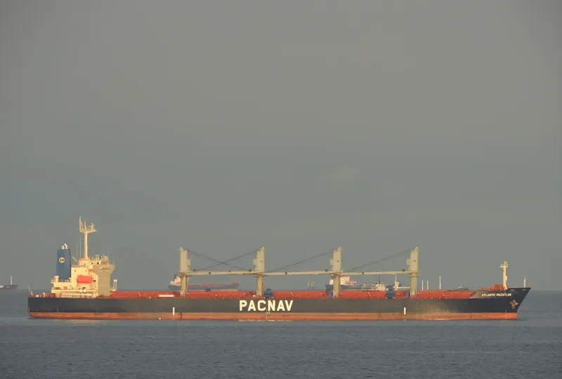 WORLDERA 3 Bulk Carrier IMO 9227792 photo 9