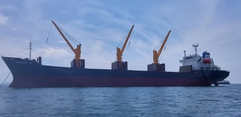 CECELA S Bulk Carrier IMO 9227857