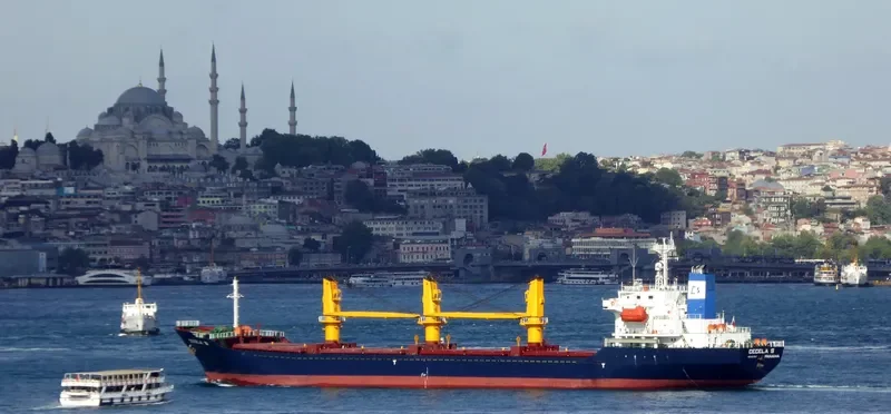 CECELA S Bulk Carrier IMO 9227857 photo 2