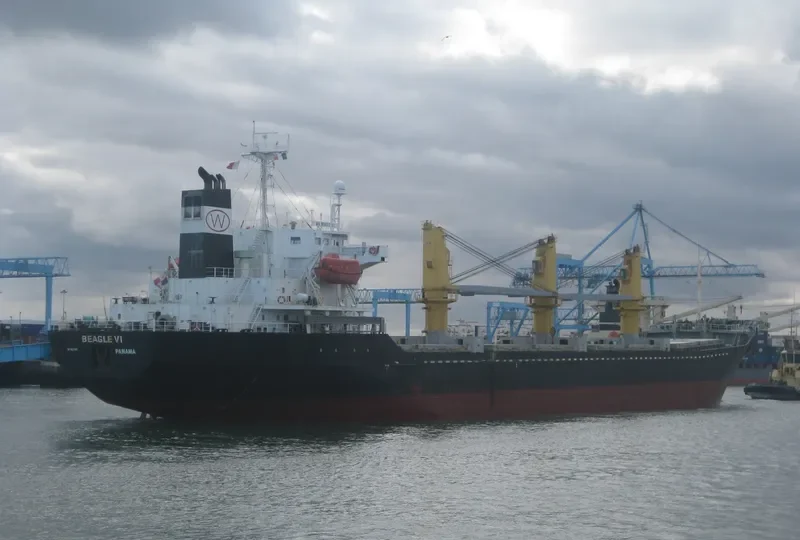 EAGLE Bulk Carrier IMO 9227869 photo 8
