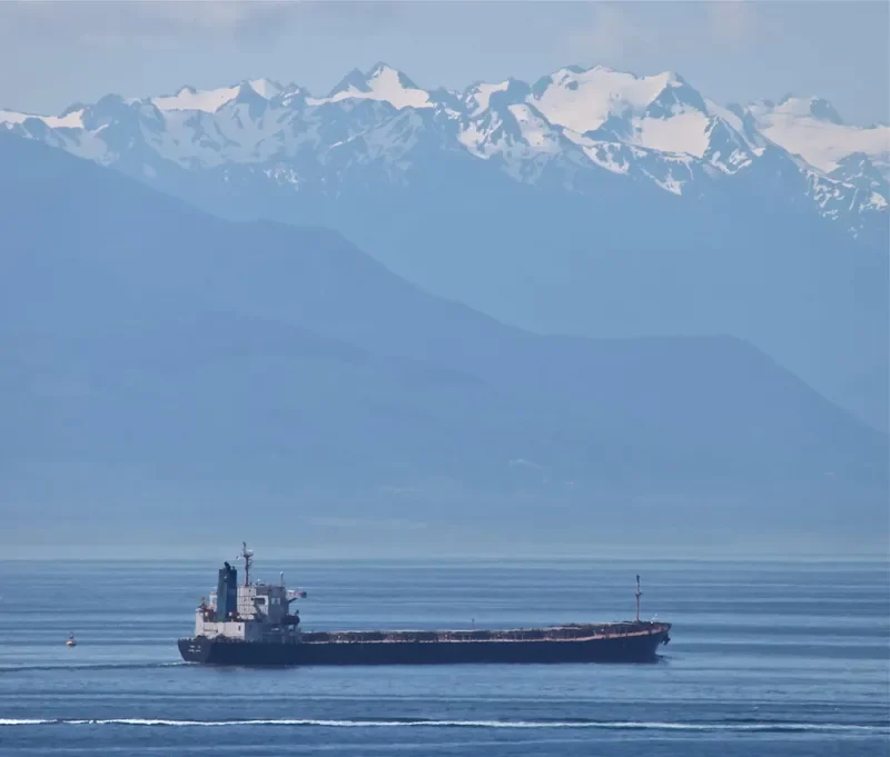 YONG LI Bulk Carrier IMO 9228007 photo 6
