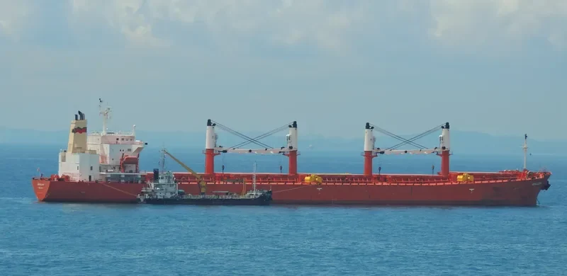 ACRUX Bulk Carrier IMO 9228021 photo 3