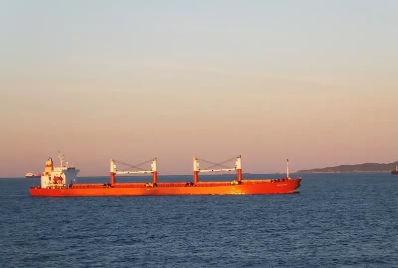 ACRUX Bulk Carrier IMO 9228021 photo 6