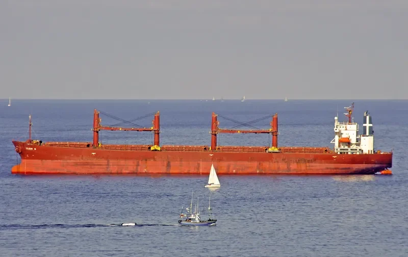 ELENI M Bulk Carrier IMO 9228033