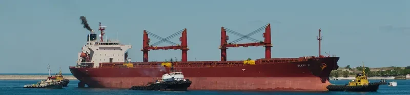 ELENI M Bulk Carrier IMO 9228033 photo 7