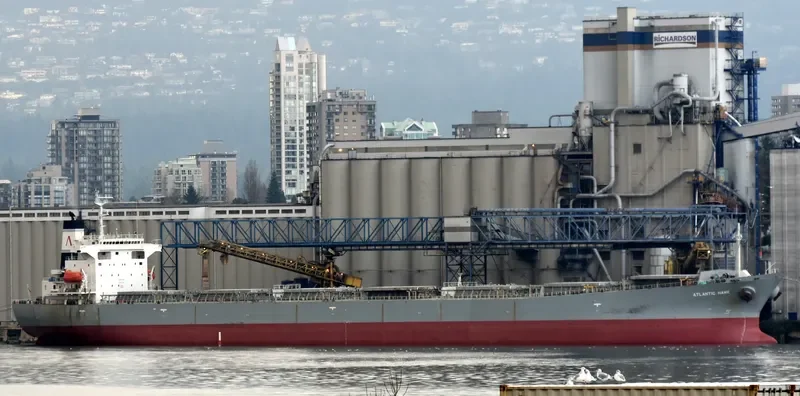 ATLANTIC HAWK Bulk Carrier IMO 9228069 photo 2