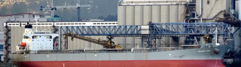 ATLANTIC HAWK Bulk Carrier IMO 9228069 photo 3