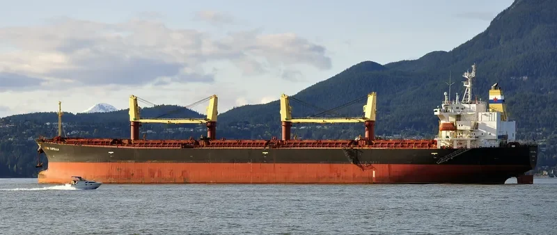 MASTRO MITROS Bulk Carrier IMO 9228071 photo 9