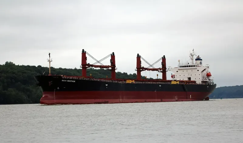 OPHELIA Bulk Carrier IMO 9228083 photo 4