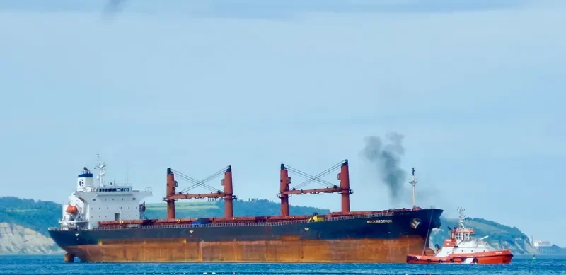 OPHELIA Bulk Carrier IMO 9228083 photo 5
