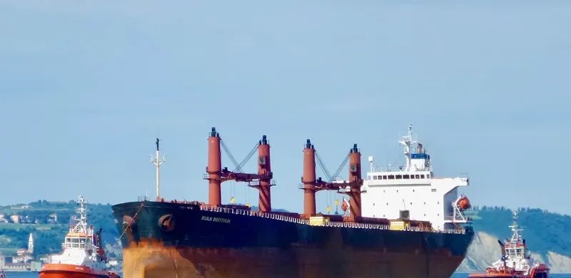 OPHELIA Bulk Carrier IMO 9228083 photo 6