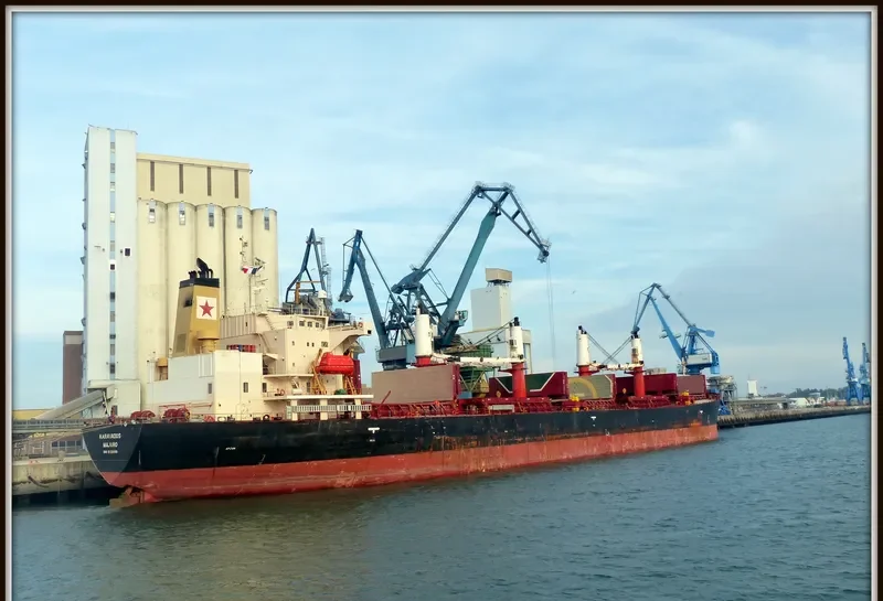 GULLUK Bulk Carrier IMO 9228100 photo 7