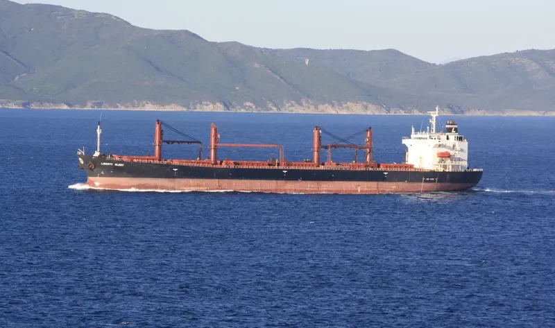 LIBERTY GLORY Bulk Carrier IMO 9228136 photo 4