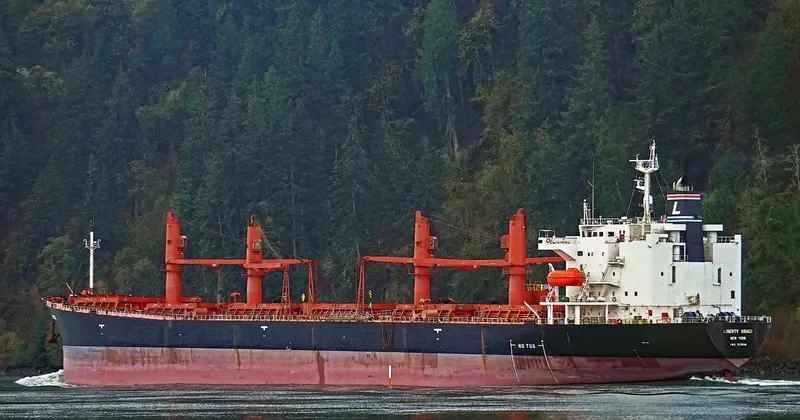 LIBERTY GRACE Bulk Carrier IMO 9228148 photo 8