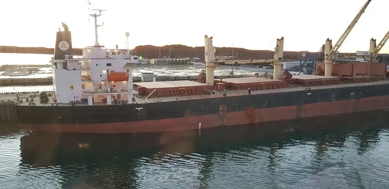 AKSON SARA Bulk Carrier IMO 9228150