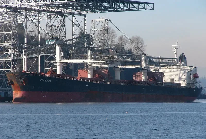 AKSON SARA Bulk Carrier IMO 9228150 photo 8