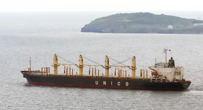 RUN FU 8 Bulk Carrier IMO 9228203