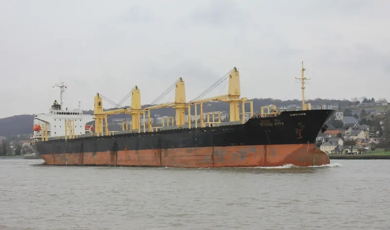 RUN FU 8 Bulk Carrier IMO 9228203 photo 6