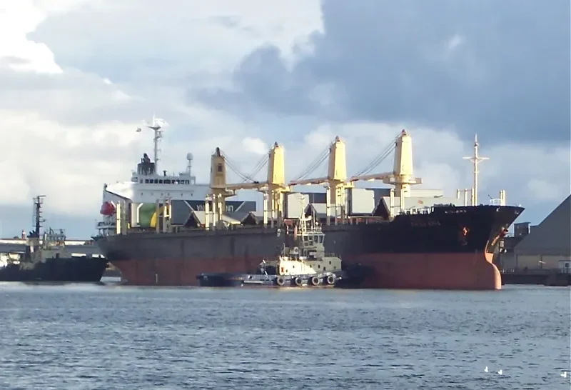 RUN FU 8 Bulk Carrier IMO 9228203 photo 9