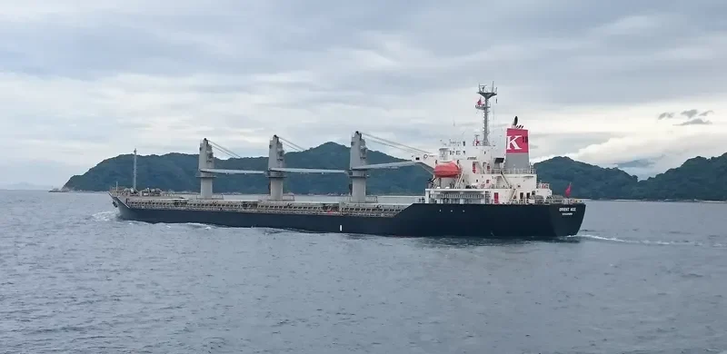 FANARIA Bulk Carrier IMO 9228241 photo 10