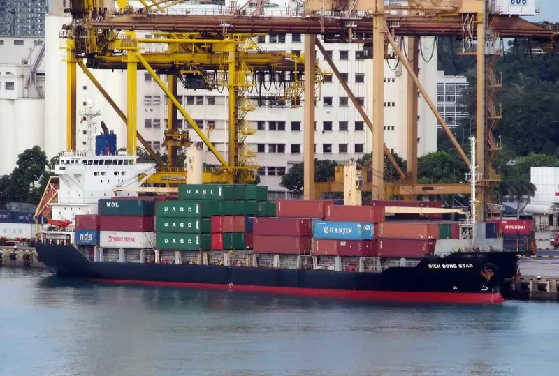 BIEN DONG STAR Container Ship IMO 9228289 photo 2