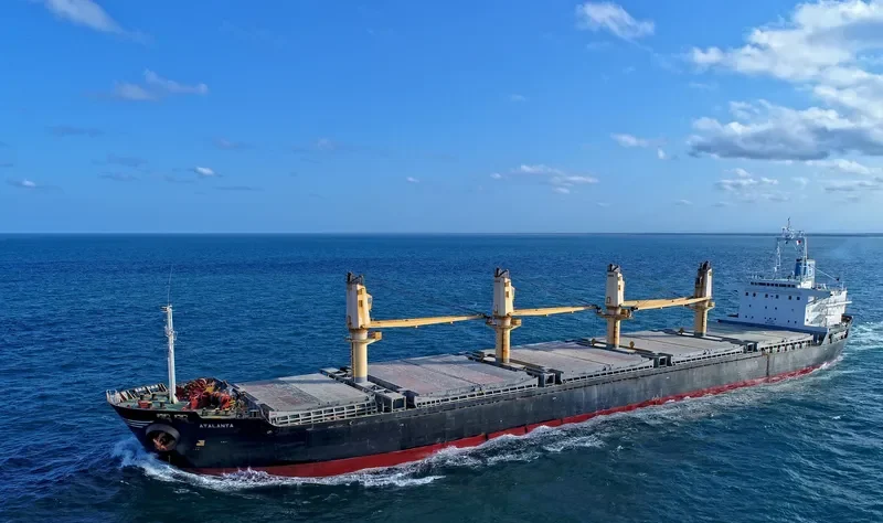 GOLDEN EAGLE Bulk Carrier IMO 9228394 photo 3
