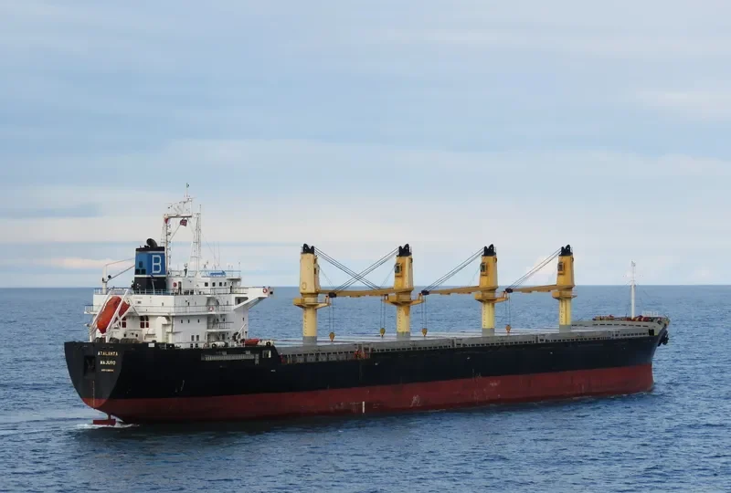 GOLDEN EAGLE Bulk Carrier IMO 9228394 photo 6