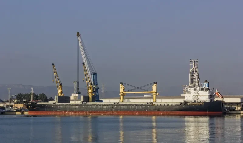 GOLDEN EAGLE Bulk Carrier IMO 9228394 photo 8