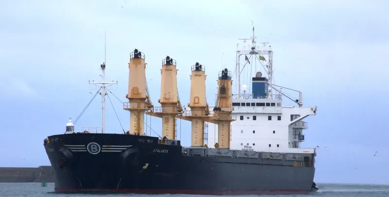 GOLDEN EAGLE Bulk Carrier IMO 9228394 photo 10