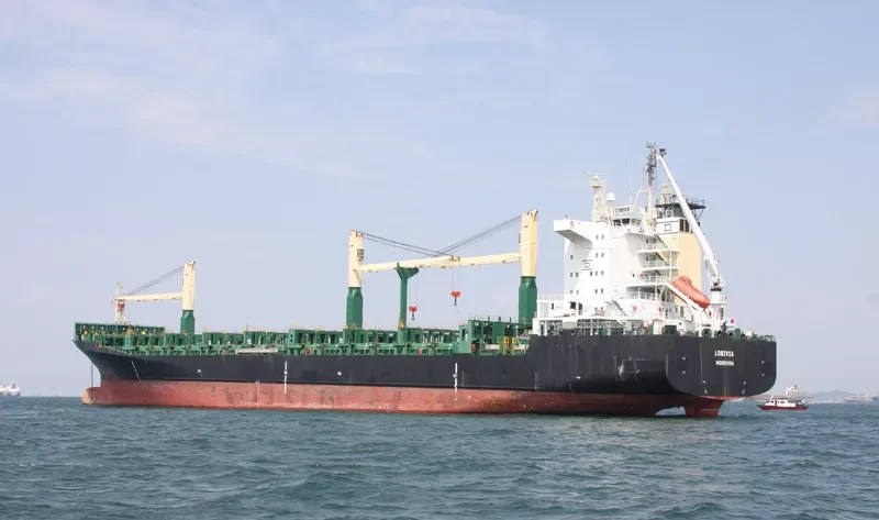 LOBIVIA Container Ship IMO 9228564 photo 3