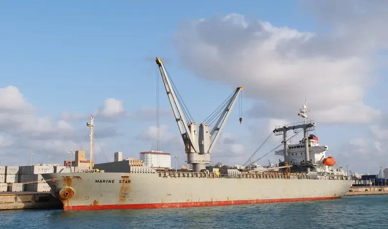 SEA RUBY General Cargo IMO 9228629 photo 5