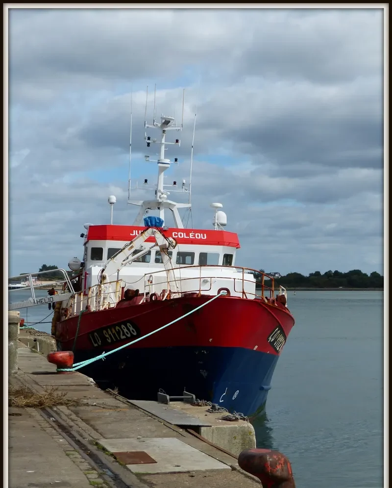 JULIEN COLEOU General Cargo IMO 9228681 photo 3