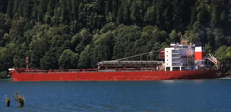 CSL FRONTIER Bulk Carrier IMO 9228734 photo 8