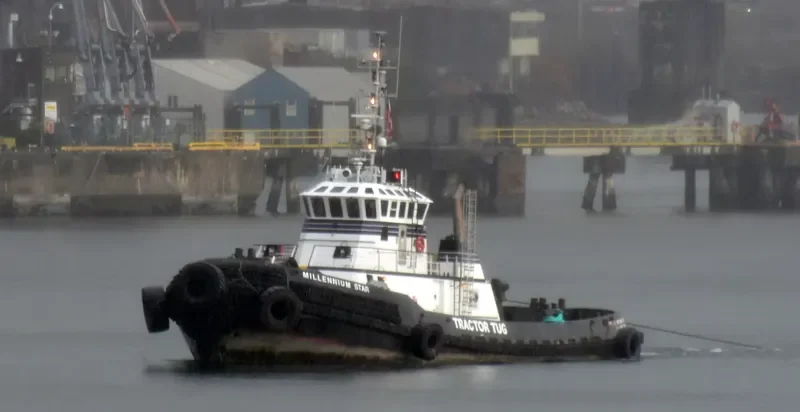 MILLENNIUM STAR General Cargo IMO 9228942 photo 4