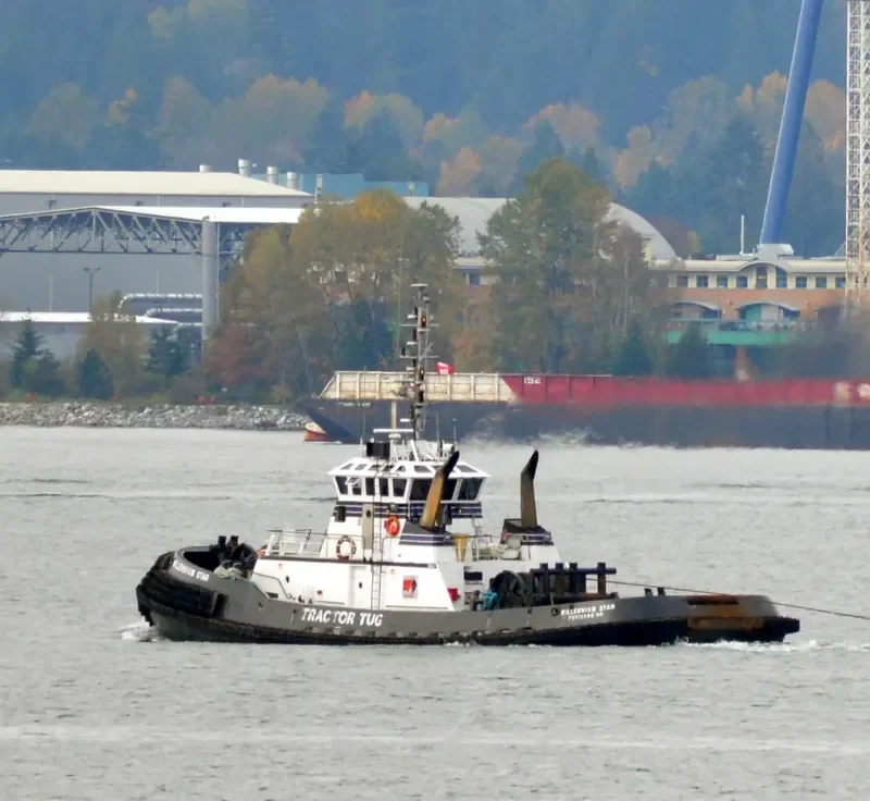 MILLENNIUM STAR General Cargo IMO 9228942 photo 6