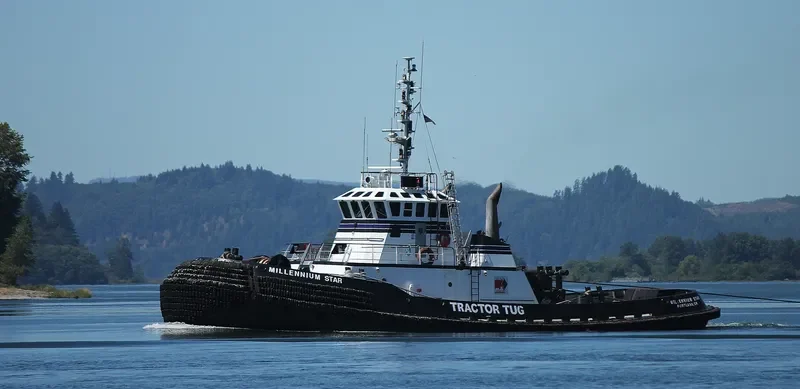 MILLENNIUM STAR General Cargo IMO 9228942 photo 10