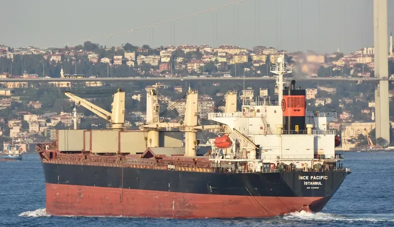 INCE PACIFIC Bulk Carrier IMO 9229001