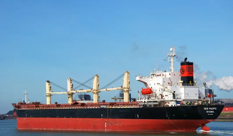 INCE PACIFIC Bulk Carrier IMO 9229001 photo 4